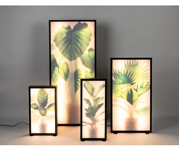 Grow floor lamp